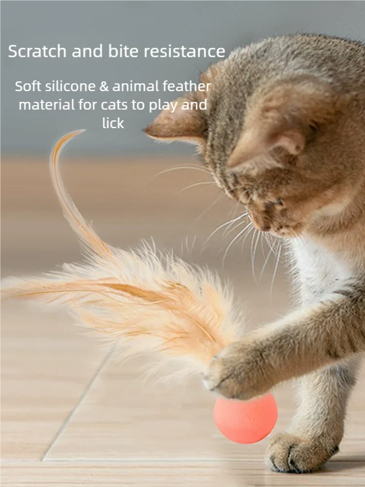 Funny Cat Elastic Ball Toy Interactive Balls Pet