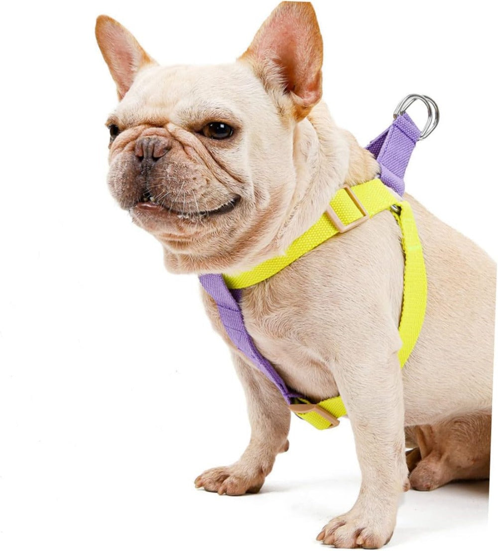 Dog Harness And Leash No Pull Nylon Pet Leashes For Small Dogs