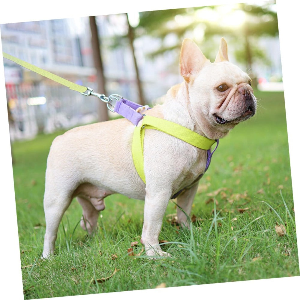 Dog Harness And Leash No Pull Nylon Pet Leashes For Small Dogs