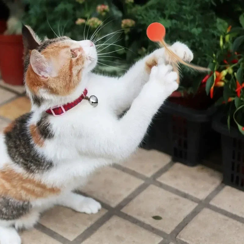 Funny Cat Elastic Ball Toy Interactive Balls Pet