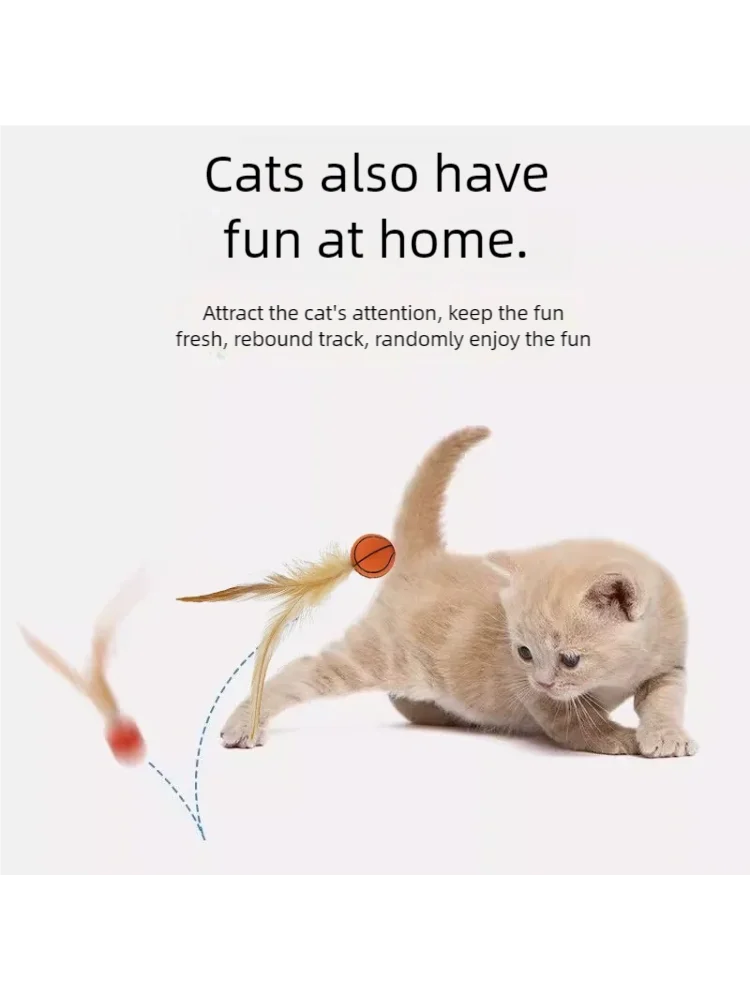 Funny Cat Elastic Ball Toy Interactive Balls Pet